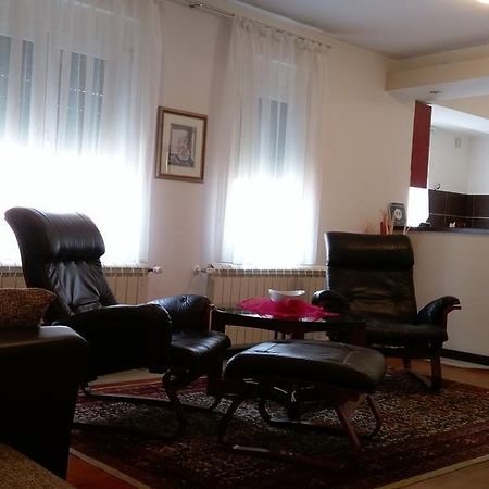 Apartment Krsmanovic Arandelovac Buitenkant foto
